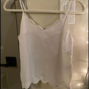 SCALLOP TANK